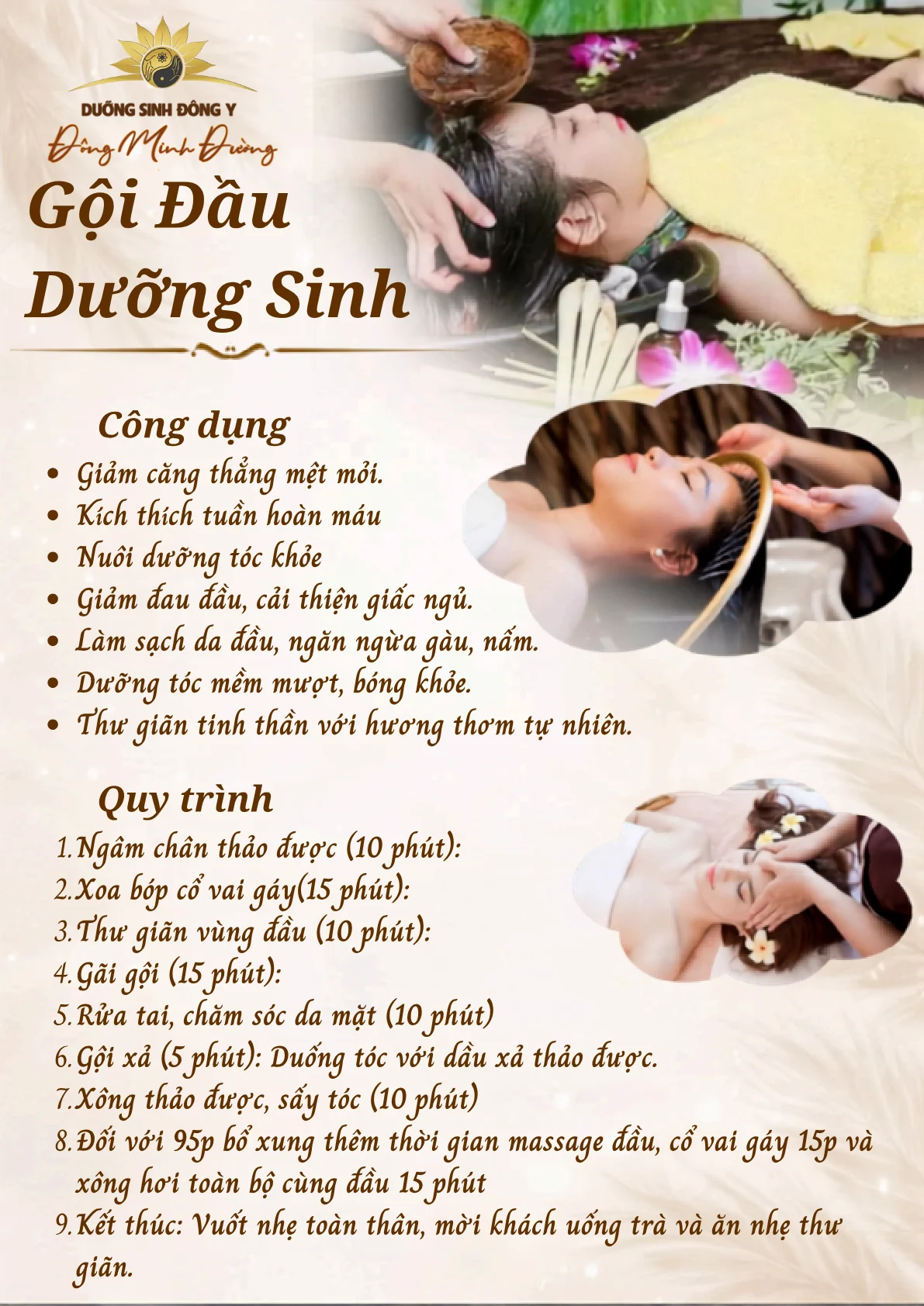 Đông Minh Đường CS8 — Page 9/11